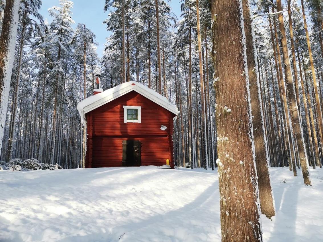 Zorbcenter Holiday Homes Hammarstrand Екстериор снимка