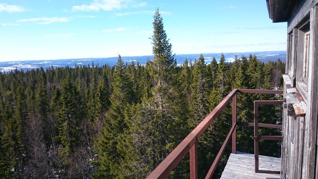 Zorbcenter Holiday Homes Hammarstrand Екстериор снимка
